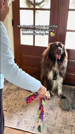 His Great Grandma made him a homemade dog toy 🥹 Fabric gifted by Chewy