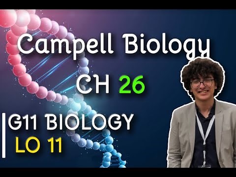Chapter 26: Phylogeny and tree of life (STEM Curriculum LO11)