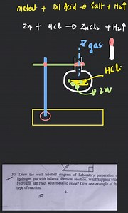 Draw the well labelled diagram of Laboratory preparation hydrog... | Filo