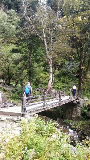 Har Ki dun trek | River Crossing Bridge | Dens Jungle/ Forest Camping Hiking in Uttrakhand, October