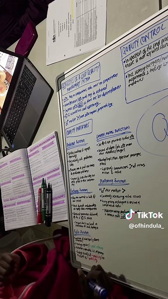 Mastering Business Studies: Tips for June Exams