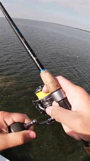 Sight Casting A Red Fish With A TopWater #texas #fishing #redfish