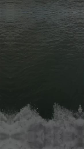 Caleb Strong on TikTok