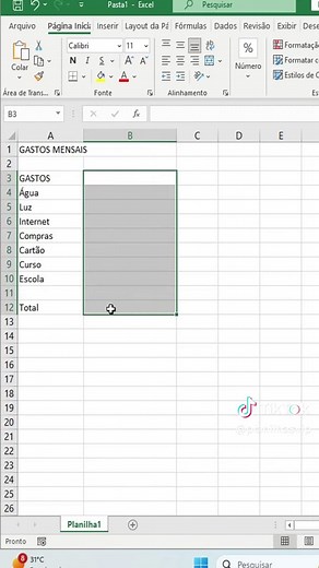 Aprendendo Excel do zero para organizar suas planilhas