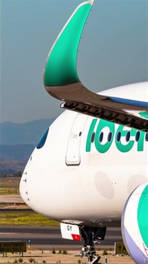 What's MISSING ON THE WING of this airplane does really make any difference?