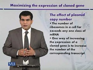 The Effect of Plasmid Copy Number | Introduction to Biotechnology | BIO5101_Topic108