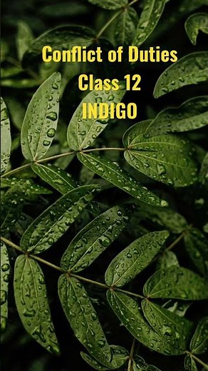 Conflict of Duties class 12 Indigo