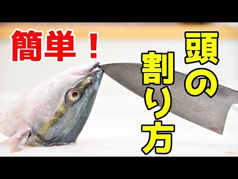How to split a fish head (kabutowari) [How to fillet inada, warasa, and yellowtail] [Fish filleting]