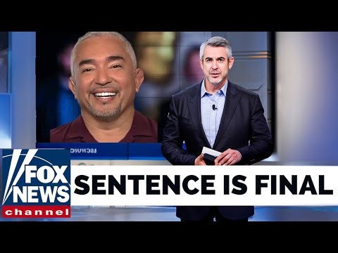 Cesar Milan From Dog Whisperer Sentenced To Life Imprisonment