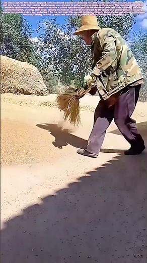 Winnowing the Harvest: How Wind and Motion Separate Grain from Chaff