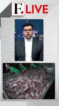 India's Seafood Trumps US Tariffs | Firstpost Live | N18G