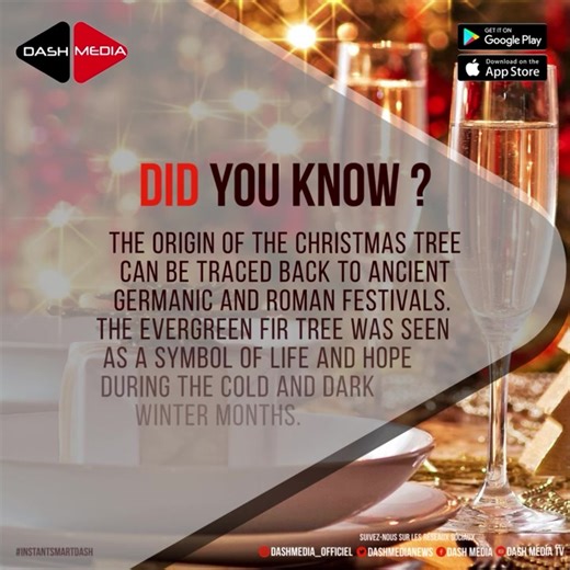 The origin of the Christmas tree can be traced back to ancient Germanic and Roman festivals.  The evergreen fir tree was seen as a symbol of life and hope during the cold and dark winter months. ❄️️ #ChristmasTree #AncientFestivals #GermanicTraditions #RomanCulture #symbolofhope | DASH MEDIA | Facebook