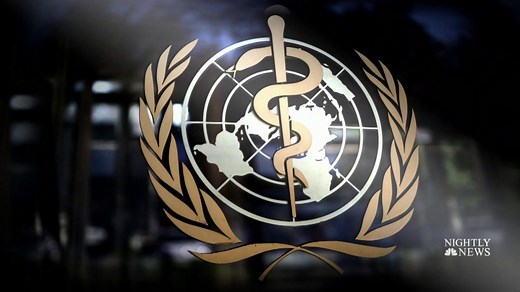 Growing criticism over joint WHO-China report on Covid origin