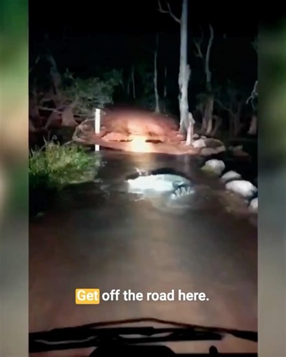 1.6K views | Curiosity Stream on Reels | Facebook