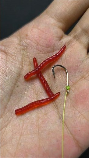 Attaching three artificial worm baits to the hook is easy #tutorial #fishing #gtknot #fishingtips