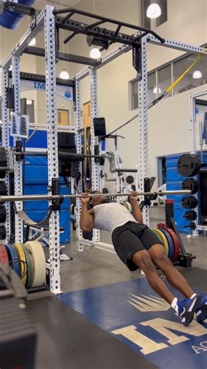 Exercise Library: Inverted Rows