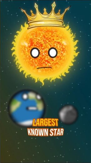 The Biggest Star in the Universe