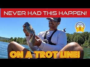 Setting a Trotline in Greers Ferry Lake