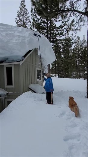 Faith Sprague Real Estate (@tahoerealestate)’s videos with original sound - Faith Sprague Real Estate