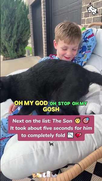 The Cat Distribution System picked the "Wrong" family...and it was perfect!😂🐈‍⬛#rescue #lovestory