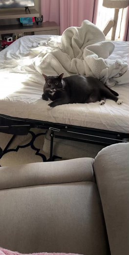 Clover Baltimore: Babies and Twerking Fun