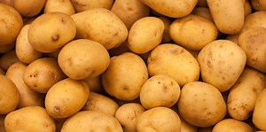 Where to Store Potatoes If You Don't Have a Root Cellar