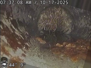 Major root intrusion? No problem. Watch the Digital Self-Leveling feature kick in and keep your view rock-solid. 💪 That's how it's done, @postiff_plumbing 👏 Book a demo today! http://emr.as/IPls50XBXjr #RIDGID #RIDGIDTools #DigitalSelfLeveling #MiniPro | RIDGID Tools