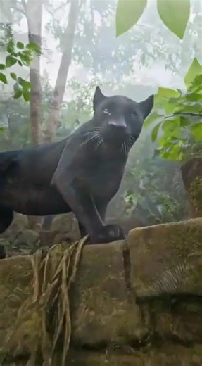 BLACK PANTHER POV: I found a Lost Golden City in the Amazon... 🐾🏺