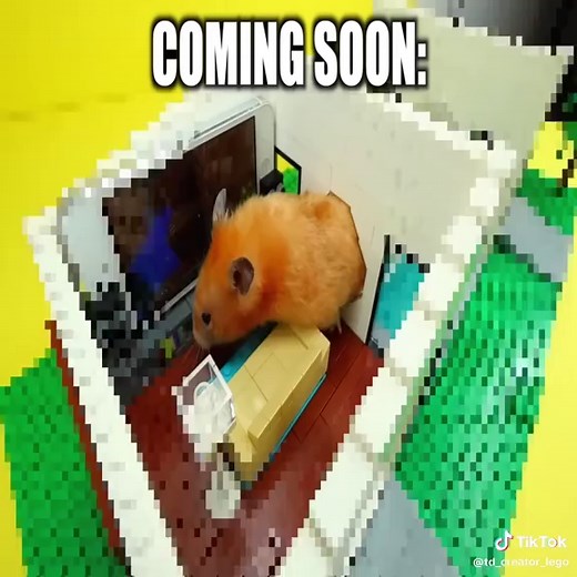 Create a LEGO Maze for Hamsters: Step-by-Step Guide