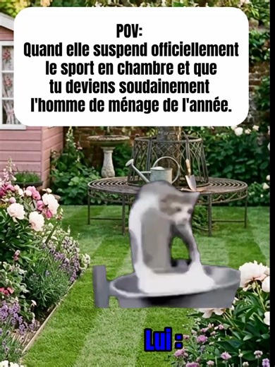 Quand elle suspend officiellement le “sport en chambre”… et tu deviens homme de ménage de l’année 🫡 #catmeme #couple #relation #copain #copine
