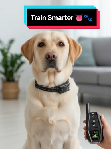 Train your dog effectively! Adjustable Shock Collar with Remote, 3 modes, waterproof, ideal for safe training at home or outdoors. Perfect for dogs of all sizes. #DogTraining #PetCare #SmartPet #TrainingCollar