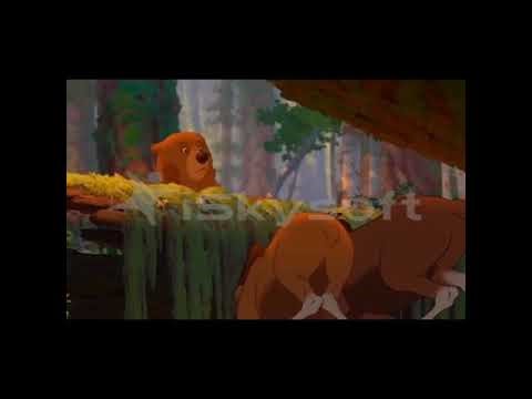 Brother Bear Special Edition Meet Rutt & Tuke #earthsday