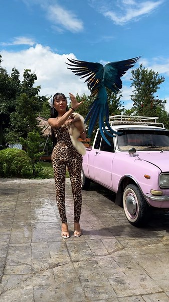 Saroch Mos Muensaksura | Need a farmer man for take care of all my kids 😂 #mos #mosandfamily #animals #farm #farmlife #birds #parrots #blueandgoldmacaw #pinkcar | Instagram