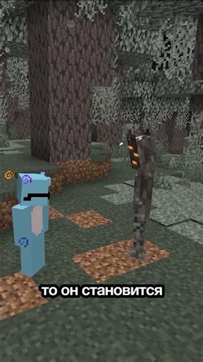 Ban the creeper! #minecraft #minecraft