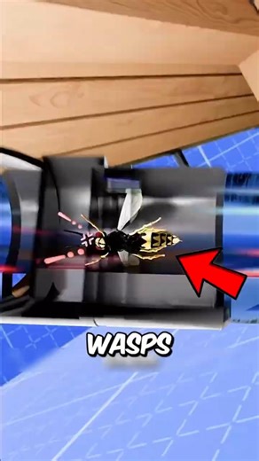 Why Using a Vacuum on a Wasp Nest Is a BIG Mistake Do This Instead 😎​