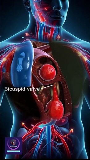 Oxygenated Blood Flow Through the Heart – From Lungs to the Body