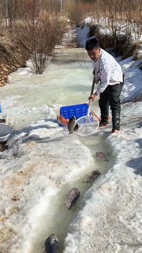 Unlock the Secret to Cooking Like a Pro in Just 3 Steps