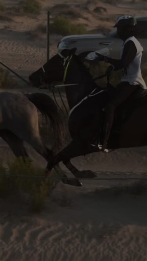 Endurance Riding at Al Khaili Private Stables