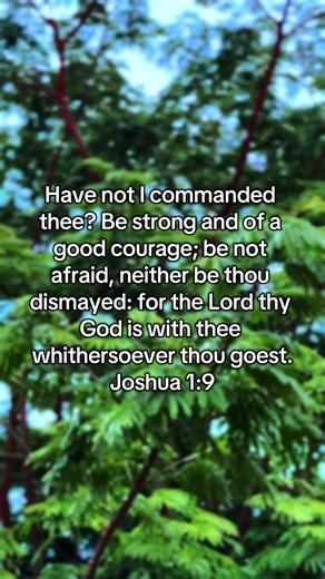 Feel alone sometimes but never truly alone #joshua1vs9 #joshua #neveralone #god #begoodcourage