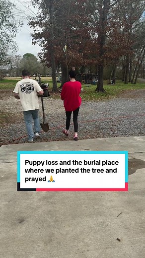 Honoring Angel Babies: A Prayer for Our Beloved Pets