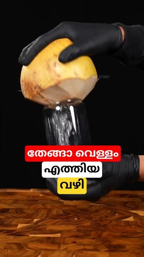 എങ്ങനെയാണ് തേങ്ങക്കുള്ളിൽ വെള്ളം വന്നത് #shortsvideo #coconut #malayalam