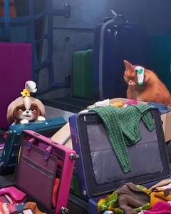 Mmm hmmm. See Tiffany Haddish as Daisy in #TheSecretLifeOfPets2, in theaters Friday. Get your tickets now: http://fandango.com/pets2 | The Secret Life Of Pets