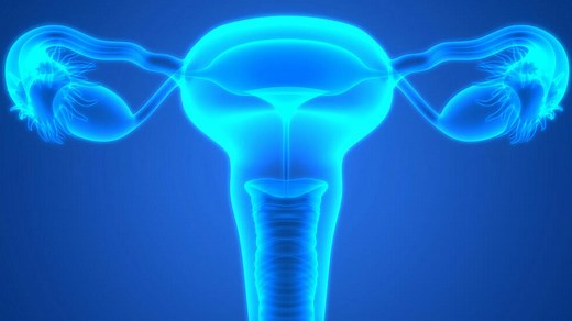 Mayo Clinic researchers capture first signs of ovarian cancer risk - Mayo Clinic News Network