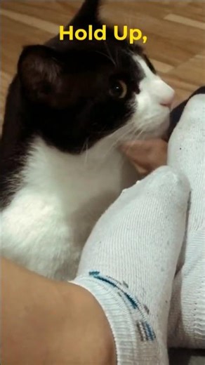 POV: You Check Your Gym Socks After 12 Hours