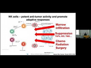 NK Cells in Cancer Development and Response to Therapy