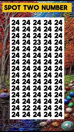 Quiz up | Quick Quizzer