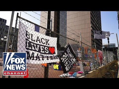 BLM co-founder labeled a 'fraud' after buying luxury homes