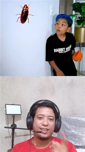 catching cockroaches on the wall ⁉️ SantiMusicOficial