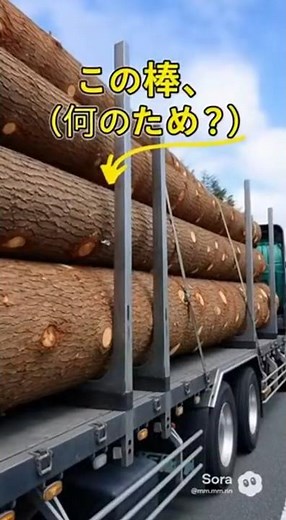 The true identity of the "mysterious rod" on trucks: the stanchion #largetruck #stanchion #logist...