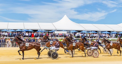 Cup Day NZ Biggest Harness Race | Addington Raceway & Events Centre